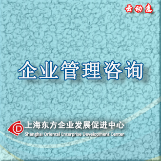 【云动惠】管理咨询