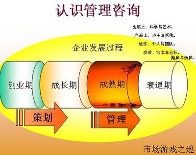 医疗行业企业管理顾问操作实务培训(ppt 44页)
